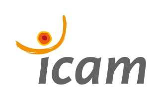 Icam - Ressources en ligne